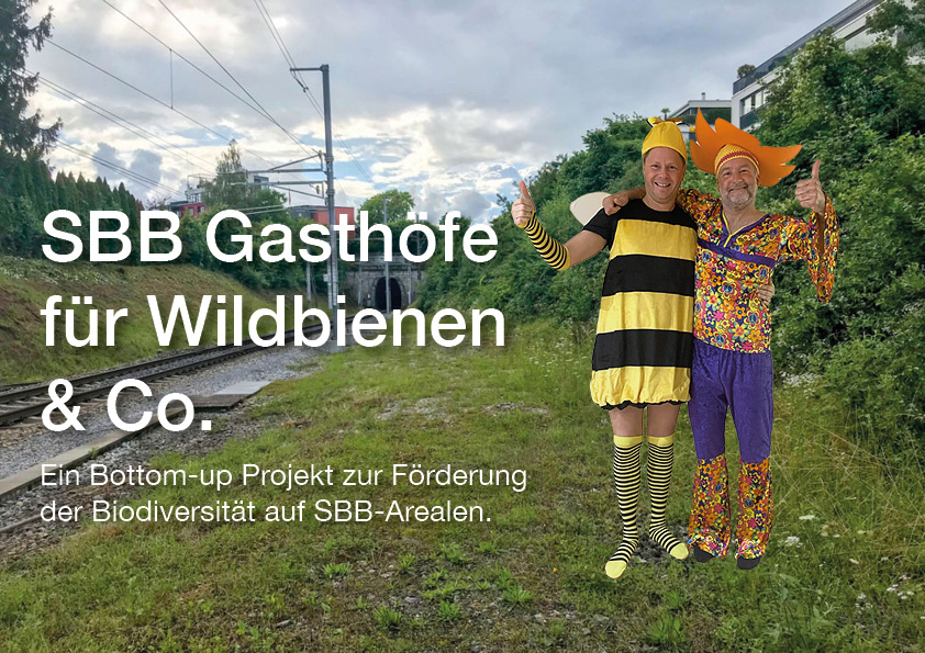 Präsentation und Pitch Wildbienen Gasthof. Michael Kistler und Benedikt Rach